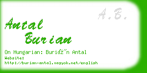 antal burian business card